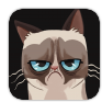 Grumpy Cat
